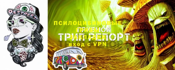 альфа пвп Дмитровск