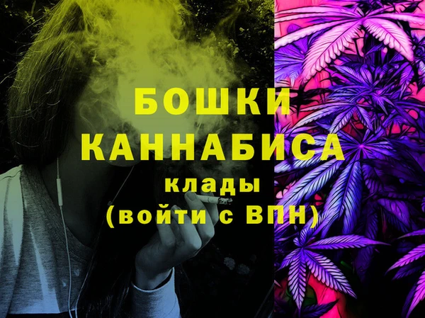 МДПВ Алексеевка
