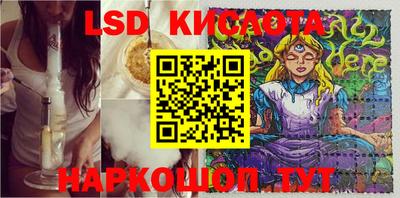 гидра Краснознаменск
