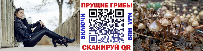 MEGA рабочий сайт  Качканар  Псилоцибиновые грибы ЛСД 