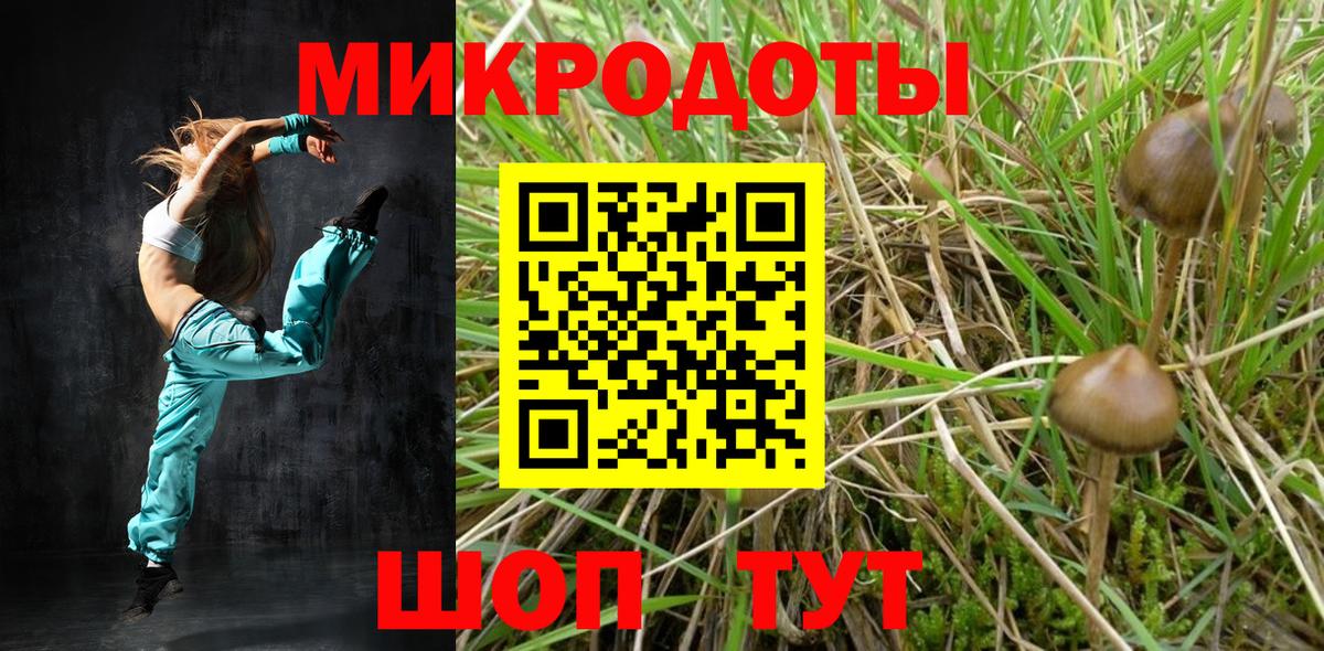 Галлюциногенные грибы MAGIC MUSHROOMS Качканар