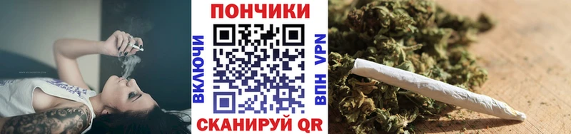 продажа наркотиков  Качканар  МЕГА зеркало  Бошки марихуана OG Kush 