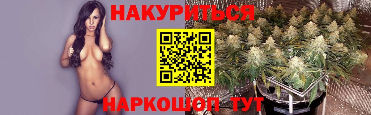Бошки марихуана марихуана Качканар